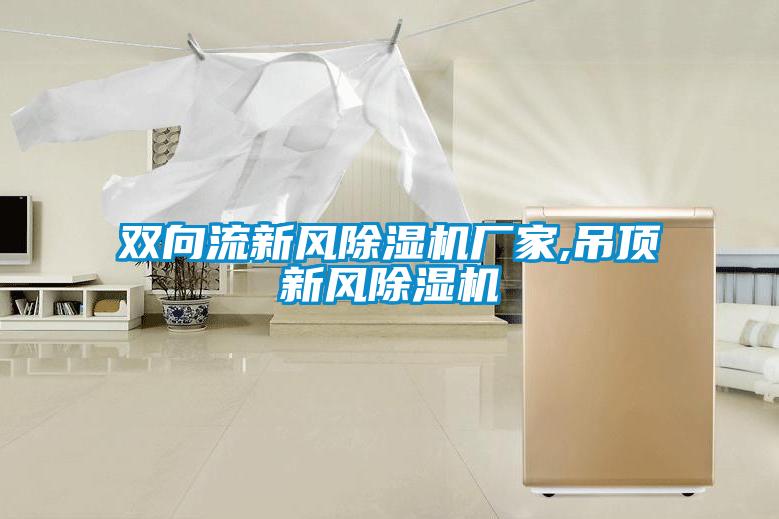 雙向流新風(fēng)除濕機廠家,吊頂新風(fēng)除濕機