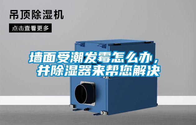 墻面受潮發(fā)霉怎么辦，東井除濕器來幫您解決