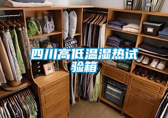 四川高低溫濕熱試驗(yàn)箱