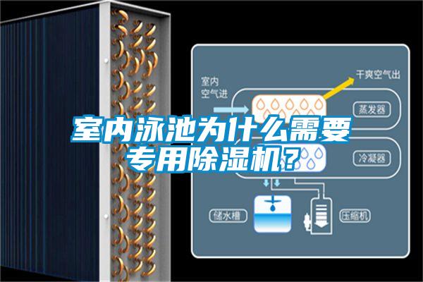 室內(nèi)泳池為什么需要專用除濕機？