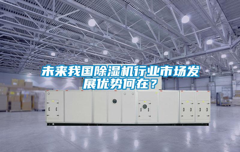 未來我國除濕機(jī)行業(yè)市場發(fā)展優(yōu)勢何在？