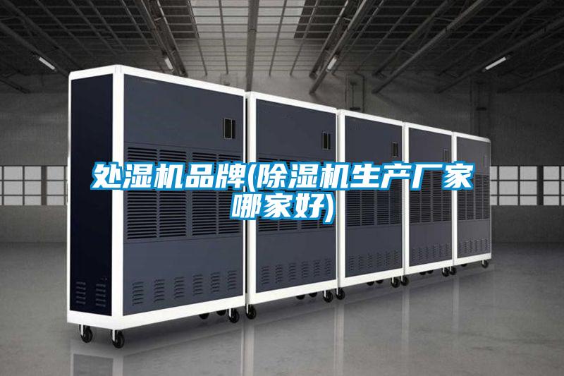 處濕機品牌(除濕機生產(chǎn)廠家哪家好)