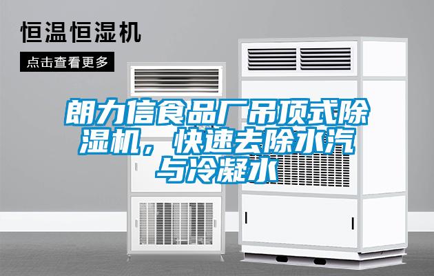 朗力信食品廠吊頂式除濕機，快速去除水汽與冷凝水