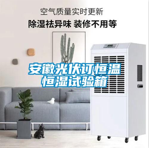 安徽光伏訂恒溫恒濕試驗(yàn)箱