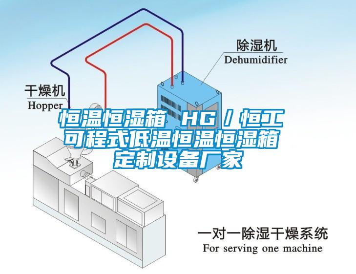 恒溫恒濕箱 HG／恒工 可程式低溫恒溫恒濕箱 定制設(shè)備廠家