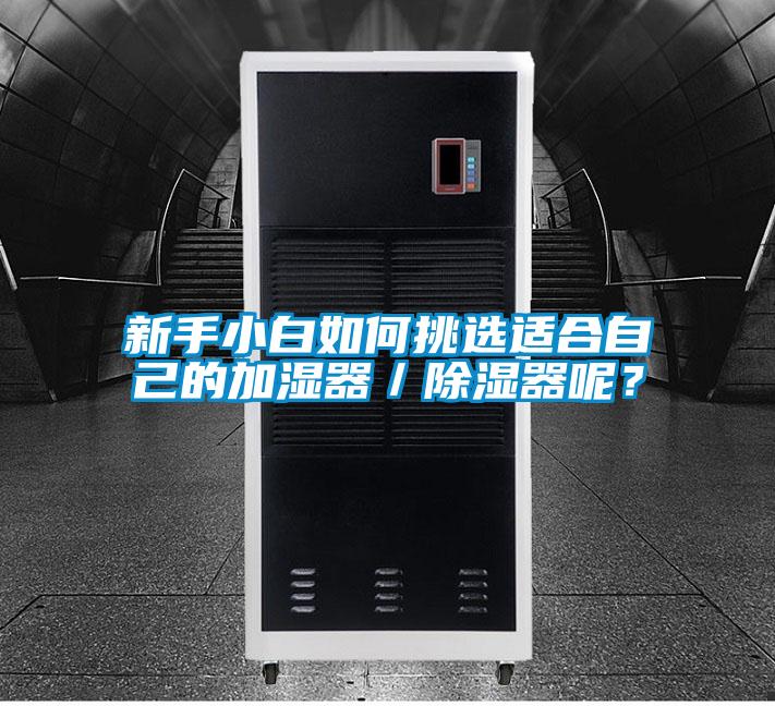新手小白如何挑選適合自己的加濕器／除濕器呢？