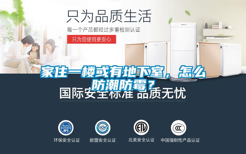 家住一樓或有地下室，怎么防潮防霉？