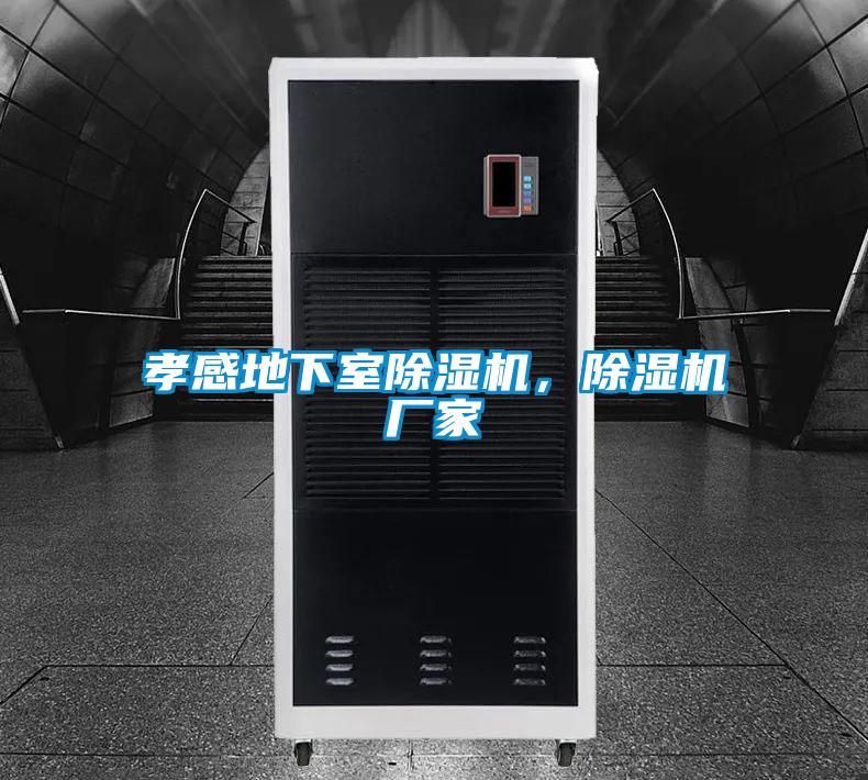 孝感地下室除濕機(jī)，除濕機(jī)廠家