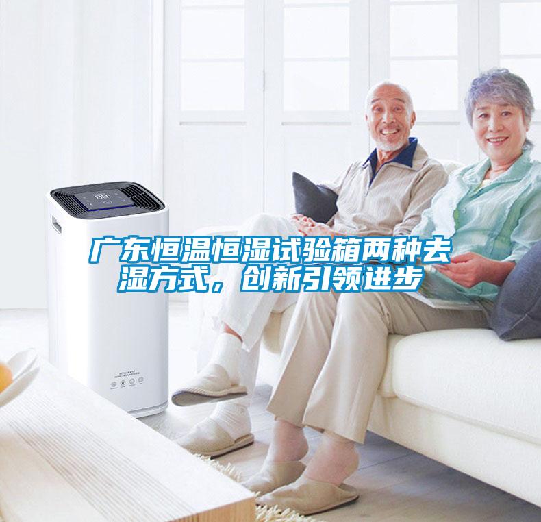 廣東恒溫恒濕試驗(yàn)箱兩種去濕方式，創(chuàng)新引領(lǐng)進(jìn)步