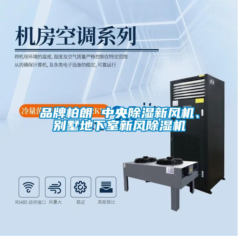品牌柏朗 中央除濕新風(fēng)機(jī)、別墅地下室新風(fēng)除濕機(jī)