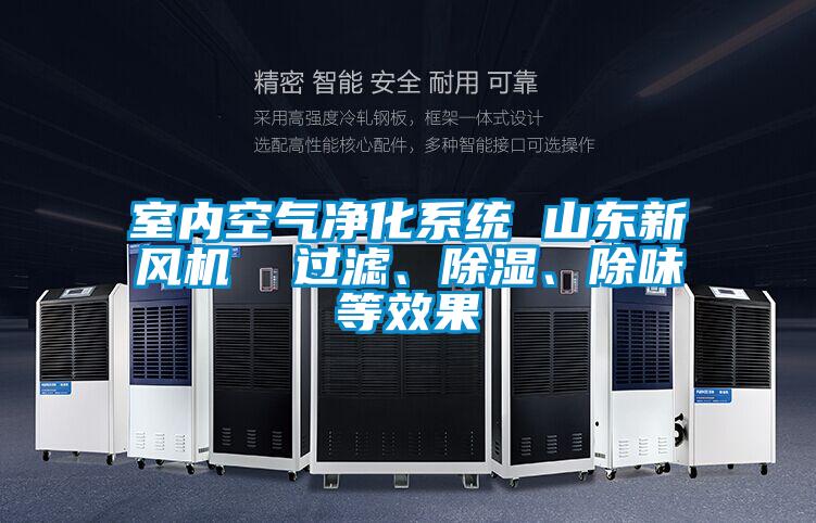 室內(nèi)空氣凈化系統(tǒng) 山東新風(fēng)機(jī)  過(guò)濾、除濕、除味等效果