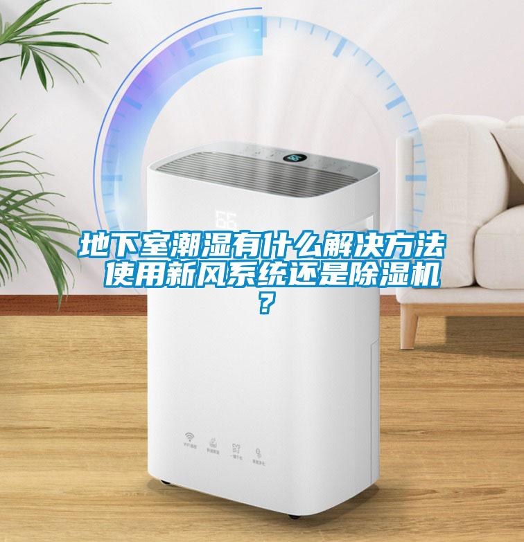 地下室潮濕有什么解決方法 使用新風系統還是除濕機？