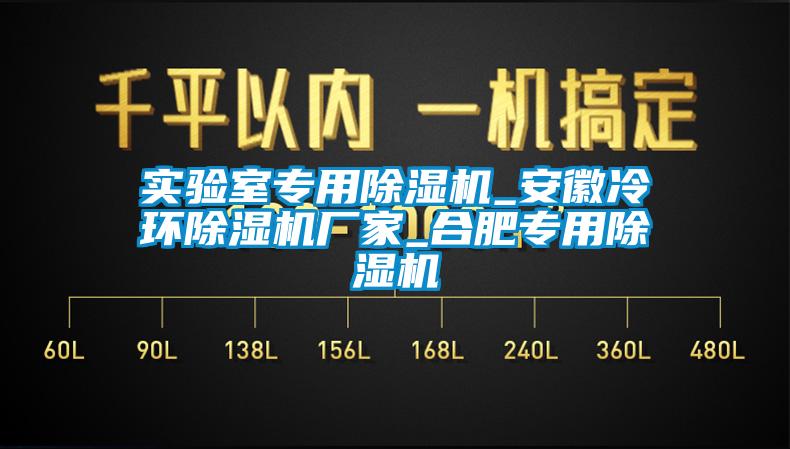 實(shí)驗(yàn)室專用除濕機(jī)_安徽冷環(huán)除濕機(jī)廠家_合肥專用除濕機(jī)