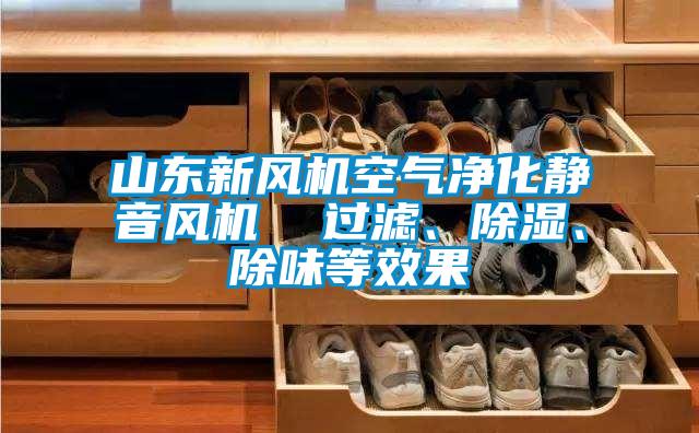 山東新風(fēng)機空氣凈化靜音風(fēng)機  過濾、除濕、除味等效果