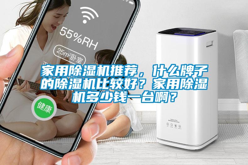 家用除濕機(jī)推薦，什么牌子的除濕機(jī)比較好？家用除濕機(jī)多少錢(qián)一臺(tái)?。?/></p>
						    <p style=