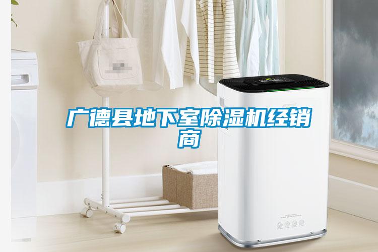 廣德縣地下室除濕機(jī)經(jīng)銷(xiāo)商