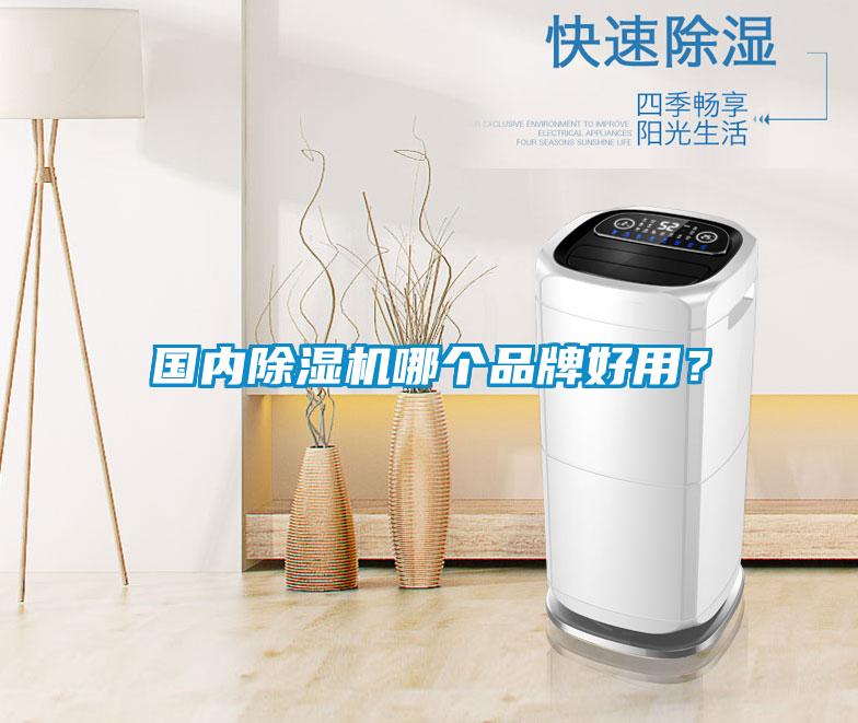 國(guó)內(nèi)除濕機(jī)哪個(gè)品牌好用？