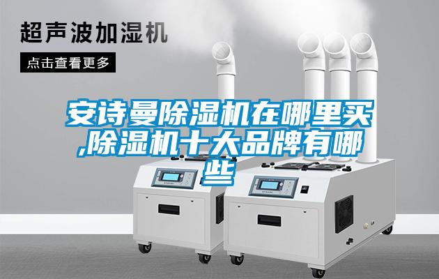 安詩(shī)曼除濕機(jī)在哪里買(mǎi),除濕機(jī)十大品牌有哪些
