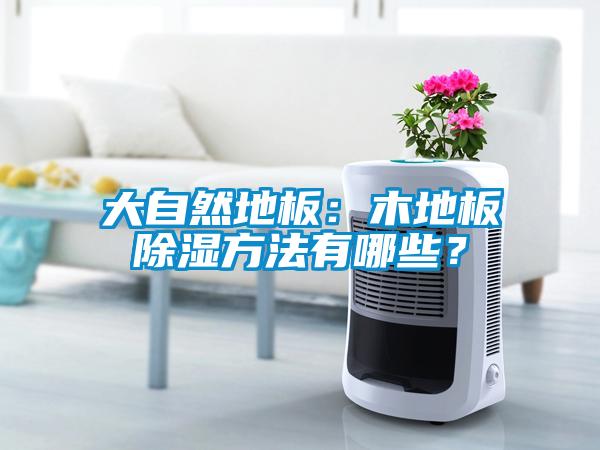 大自然地板：木地板除濕方法有哪些？