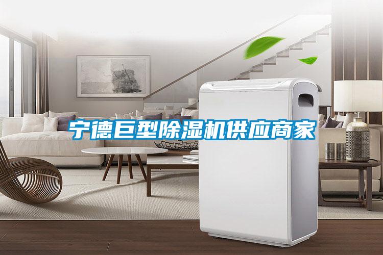 寧德巨型除濕機供應(yīng)商家