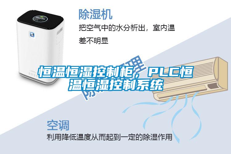 恒溫恒濕控制柜，PLC恒溫恒濕控制系統(tǒng)