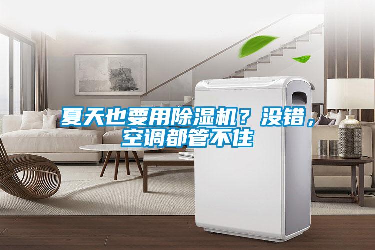 夏天也要用除濕機(jī)？沒錯，空調(diào)都管不住