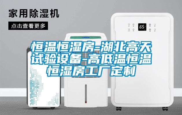 恒溫恒濕房-湖北高天試驗設(shè)備-高低溫恒溫恒濕房工廠定制