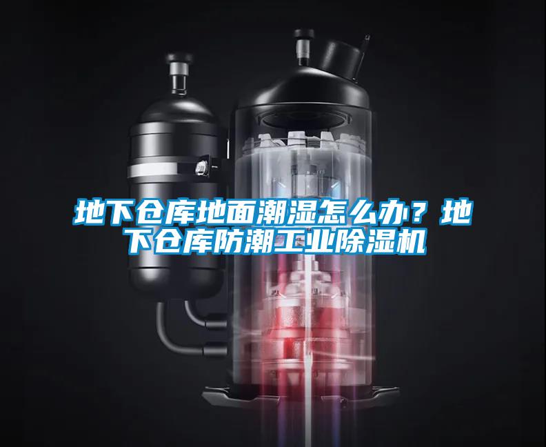 地下倉庫地面潮濕怎么辦？地下倉庫防潮工業(yè)除濕機(jī)