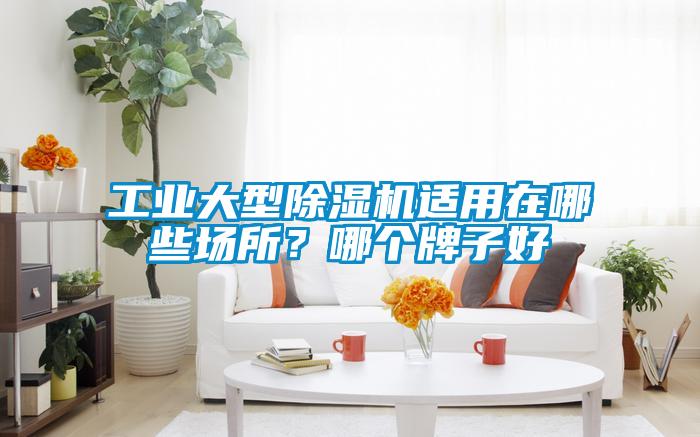 工業(yè)大型除濕機適用在哪些場所？哪個牌子好