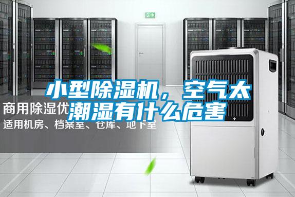 小型除濕機，空氣太潮濕有什么危害