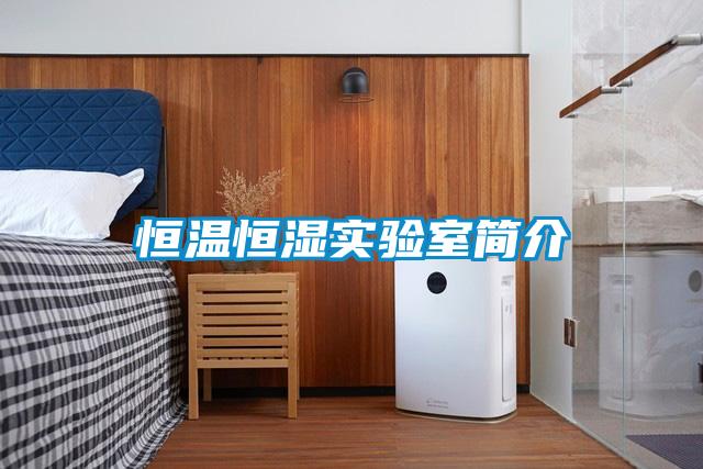 恒溫恒濕實(shí)驗(yàn)室簡介