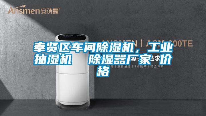 奉賢區(qū)車間除濕機(jī)，工業(yè)抽濕機(jī)  除濕器廠家 價(jià)格