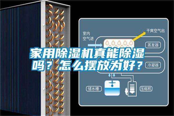 家用除濕機真能除濕嗎？怎么擺放為好？