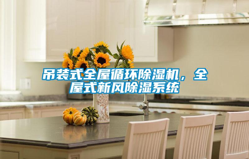 吊裝式全屋循環(huán)除濕機，全屋式新風除濕系統(tǒng)