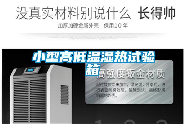 小型高低溫濕熱試驗(yàn)箱