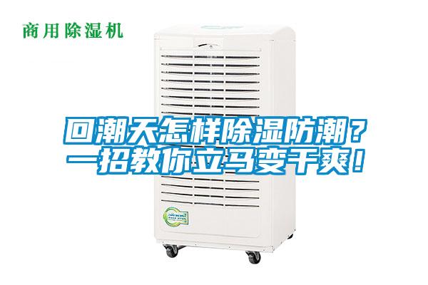 回潮天怎樣除濕防潮？一招教你立馬變干爽！