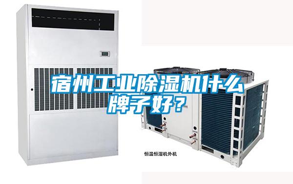 宿州工業(yè)除濕機(jī)什么牌子好？