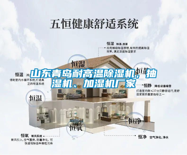 山東青島耐高溫除濕機，抽濕機、加濕機廠家