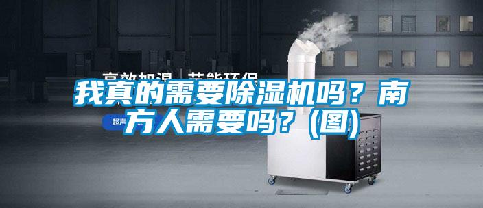 我真的需要除濕機嗎？南方人需要嗎？(圖)