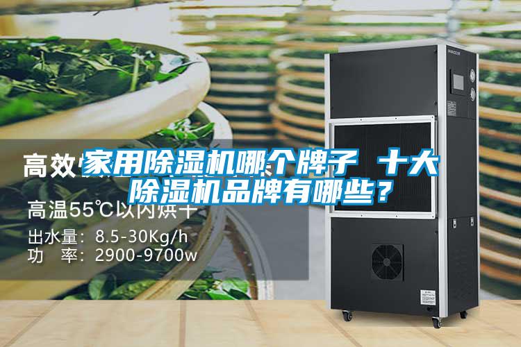 家用除濕機哪個牌子 十大除濕機品牌有哪些？