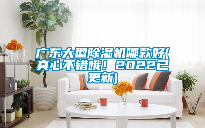 廣東大型除濕機(jī)哪款好(真心不錯哦！2022已更新)