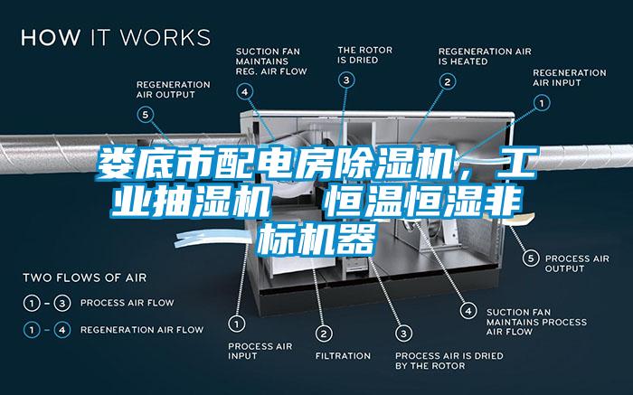 婁底市配電房除濕機，工業(yè)抽濕機  恒溫恒濕非標機器