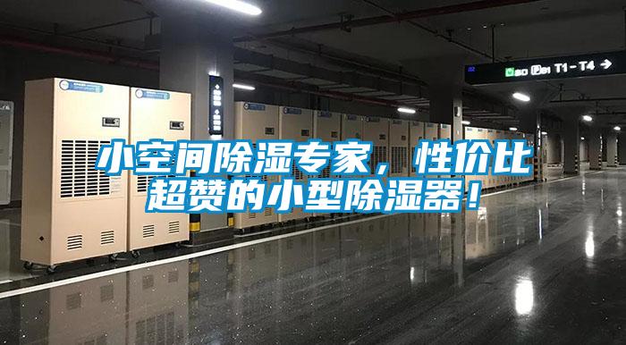 小空間除濕專家，性價比超贊的小型除濕器！