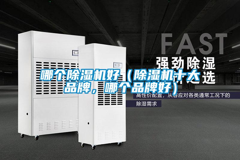 哪個(gè)除濕機(jī)好（除濕機(jī)十大品牌，哪個(gè)品牌好）