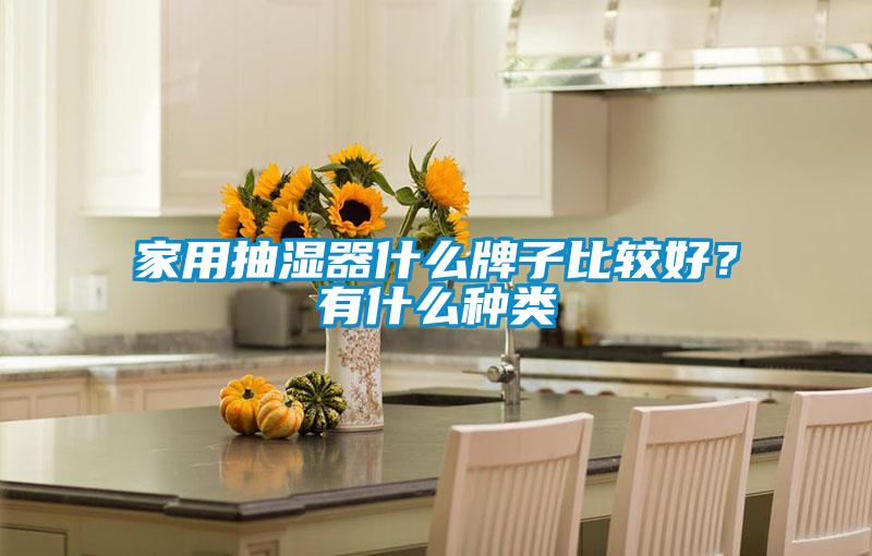 家用抽濕器什么牌子比較好？有什么種類