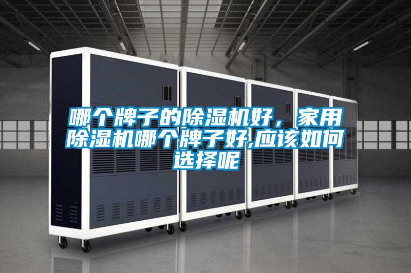 哪個(gè)牌子的除濕機(jī)好，家用除濕機(jī)哪個(gè)牌子好,應(yīng)該如何選擇呢