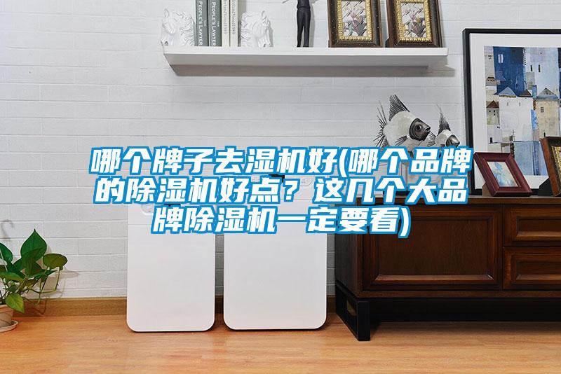 哪個牌子去濕機(jī)好(哪個品牌的除濕機(jī)好點？這幾個大品牌除濕機(jī)一定要看)