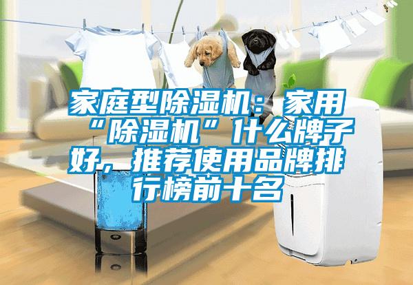 家庭型除濕機(jī)：家用“除濕機(jī)”什么牌子好，推薦使用品牌排行榜前十名