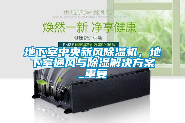 地下室中央新風(fēng)除濕機(jī)，地下室通風(fēng)與除濕解決方案_重復(fù)