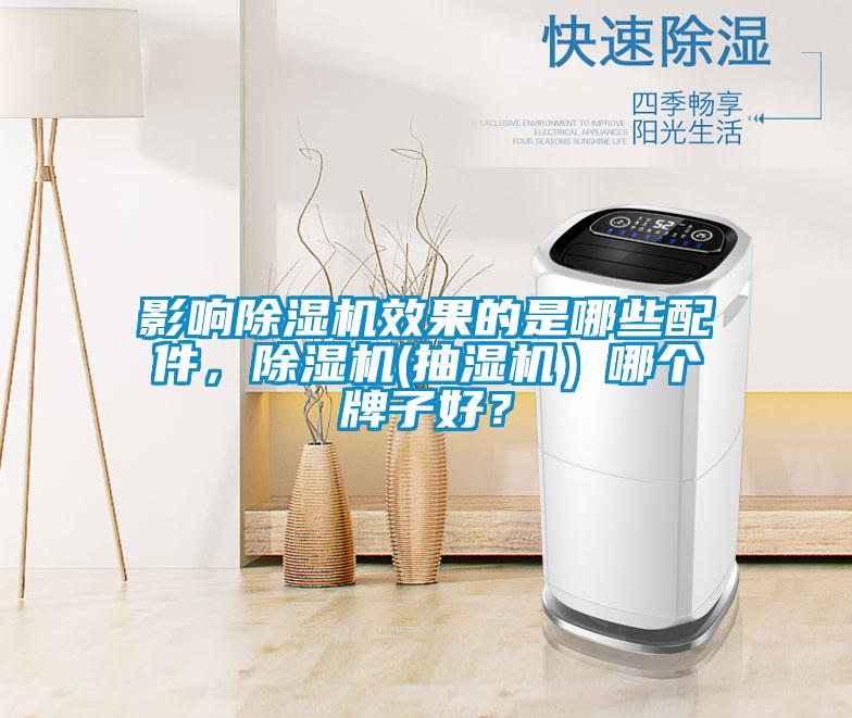 影響除濕機效果的是哪些配件，除濕機(抽濕機）哪個牌子好？